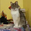 Отзыв от Эльмира Судакова